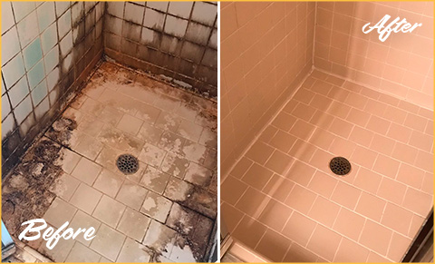 https://www.sirgrouttucson.com/images/p/g/1/tile-grout-cleaners-water-damage-shower-480.jpg