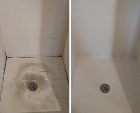 Shower Before and After a Tile Cleaning in Tucson, AZ